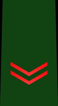 1등육사 을계급장