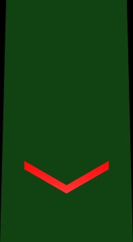 2등육사 을계급장