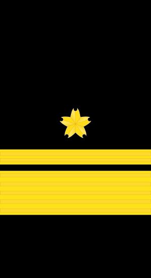 해장보 갑계급장