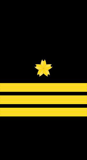 2등해좌 갑계급장