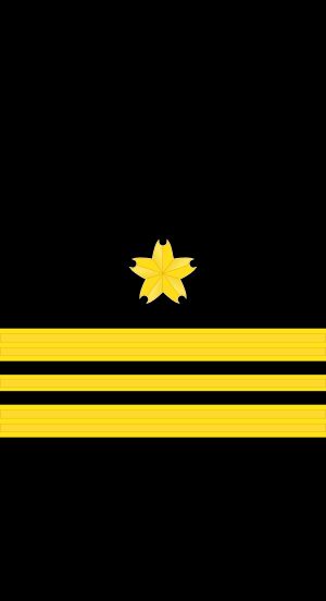 3등해좌 갑계급장