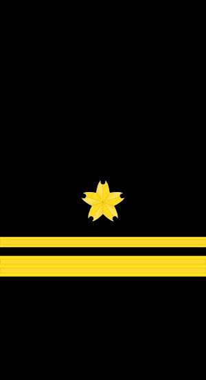 2등해위 갑계급장