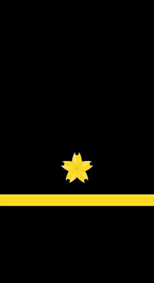 준해위 갑계급장