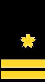 2등해좌 을계급장