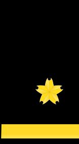 1등해위 을계급장