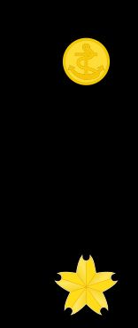 3등해위 병계급장