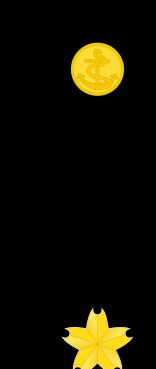 준해위 병계급장