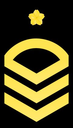 1등해조 갑계급장