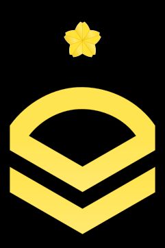 2등해조 갑계급장