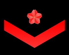 2등해사 갑계급장