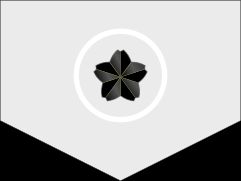 자위관후보생 갑계급장 2