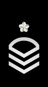 1등해조 을계급장