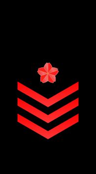 해사장 을계급장