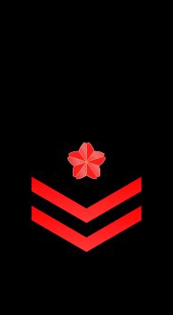 1등해사 을계급장