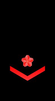 2등해사 을계급장