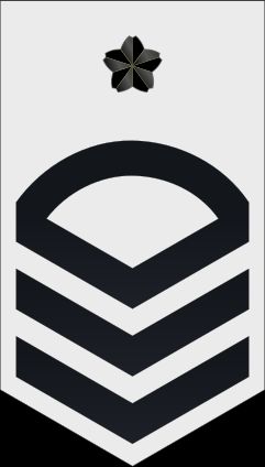 1등해조 병계급장