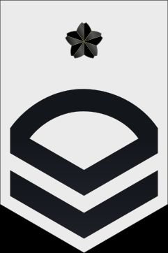 2등해조 병계급장