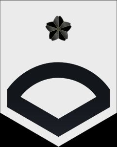 3등해조 병계급장