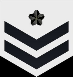 1등해사 병계급장