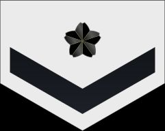 2등해사 병계급장