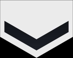 3등해사 병계급장