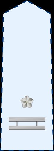 3등공좌 갑계급장