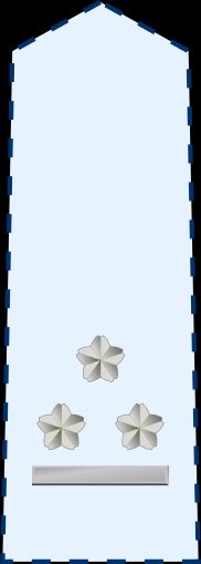 1등공위 갑계급장