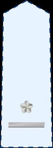 3등공위 갑계급장