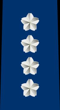 통합·항공막료장 을계급장