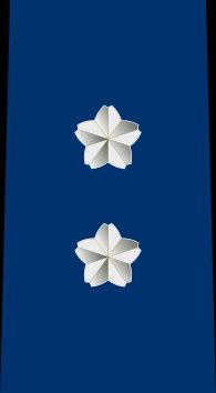 공장보 을계급장