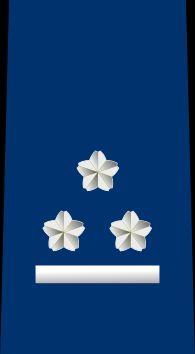 1등공위 을계급장