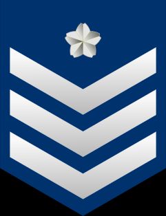 공사장 갑계급장