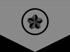 자위관 후보생 갑계급장 2