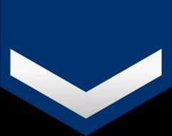 3등공사 갑계급장