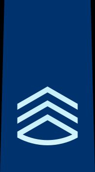 1등공조 을계급장