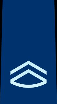 2등공조 을계급장