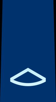 3등공조 을계급장