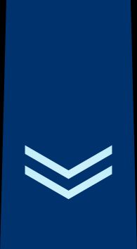 1등공사 을계급장