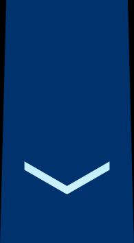 2등공사 을계급장