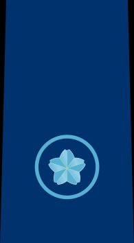 자위관 후보생 을계급장