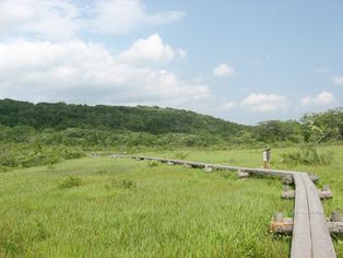 세계곡지 원생화원