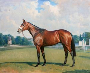 듀나덴: 2011년 멜버른컵 우승자