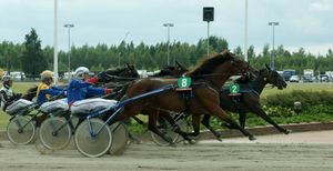 2011년 핀란드 포리에서 열린 경주마 경주. 전경에는 투오모 오얀페래와 온혈마 스위트 선라이즈가 있다.