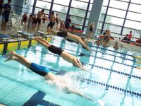 경영 경기의 스타트 장면.