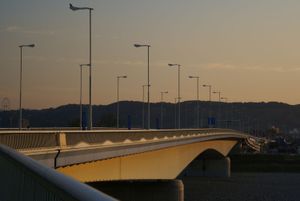 다마가와에 걸린 이나기오하시(2007년 11월)