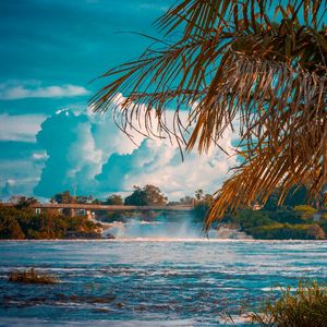 2014년에 건설된 초포 2세 교(Tshopo II Bridge)와 키산가니의 보요마 폭포(Boyoma Falls), 키산가니 동물원(Jardin Zoologique de Kisangani)에서 바라본 모습