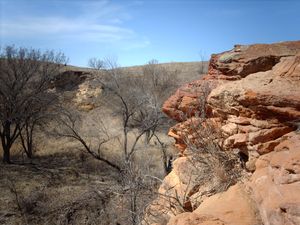 카노폴리스 주립공원