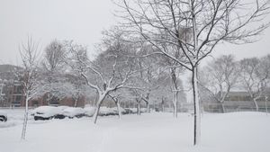 몬트리올의 겨울은 춥고 눈이 많이 내리고 바람이 많이 불며 때때로 얼음이 어는 날씨입니다.