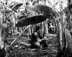 프억투이 주에서 작전 중인 오스트레일리아 병사