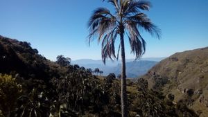 추키사카 주 북부의 엘 팔마르 자연 보호구역